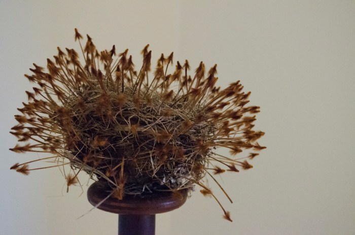 Sally Roadknight's piece 'Protection'